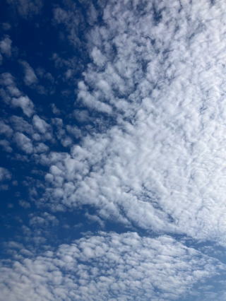 ���O, ��, ��s�@, �u���[ ���܂܂�Ă���摜

AI �����R���e���c�͌����܂މ\��������܂��B